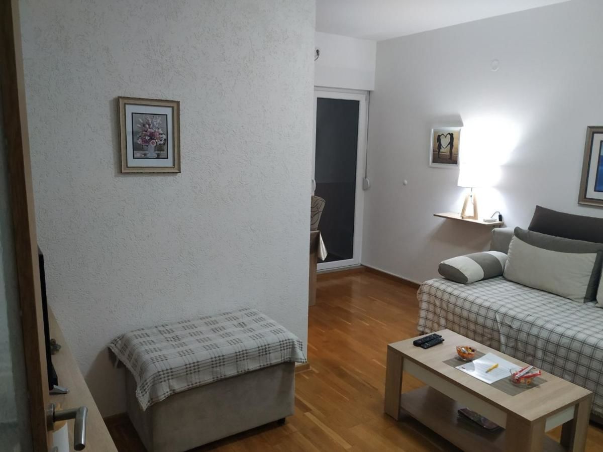 Апартаменты Apartman Vanja Подгорица