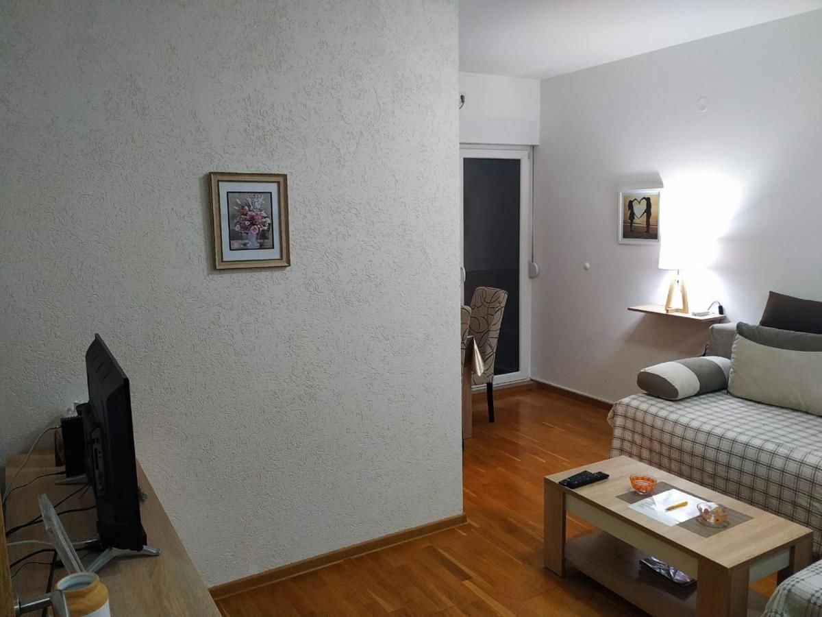 Апартаменты Apartman Vanja Подгорица