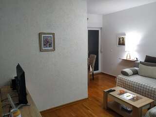 Апартаменты Apartman Vanja Подгорица Апартаменты-22