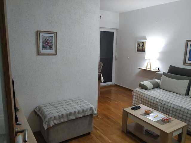 Апартаменты Apartman Vanja Подгорица-9